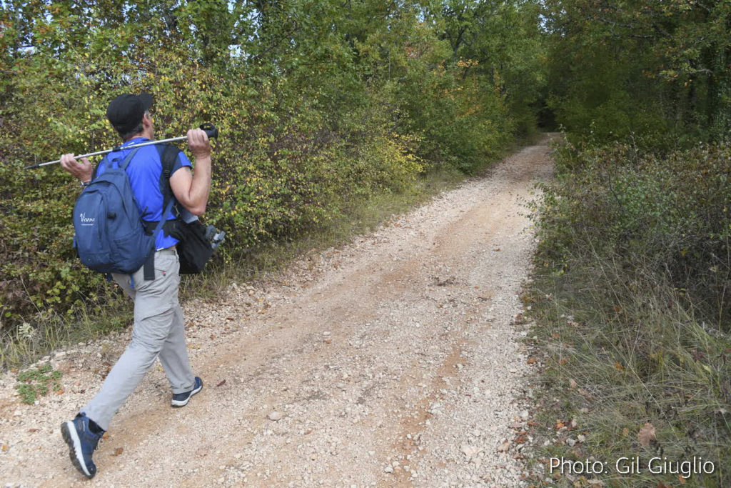 Sur le chemin au départ de Lalbenque