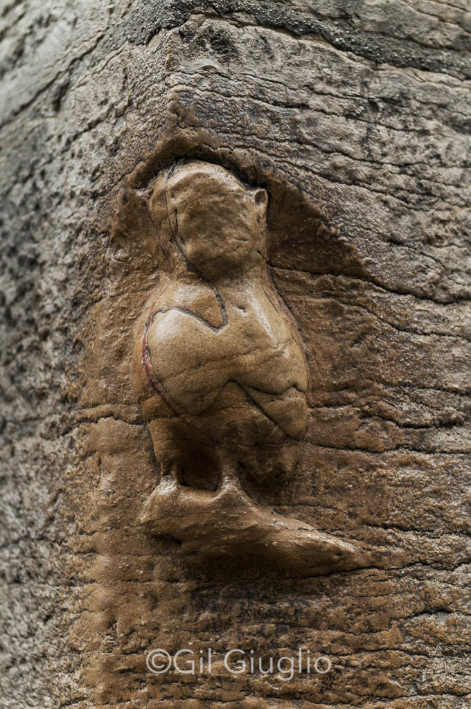 La Chouette de dijon