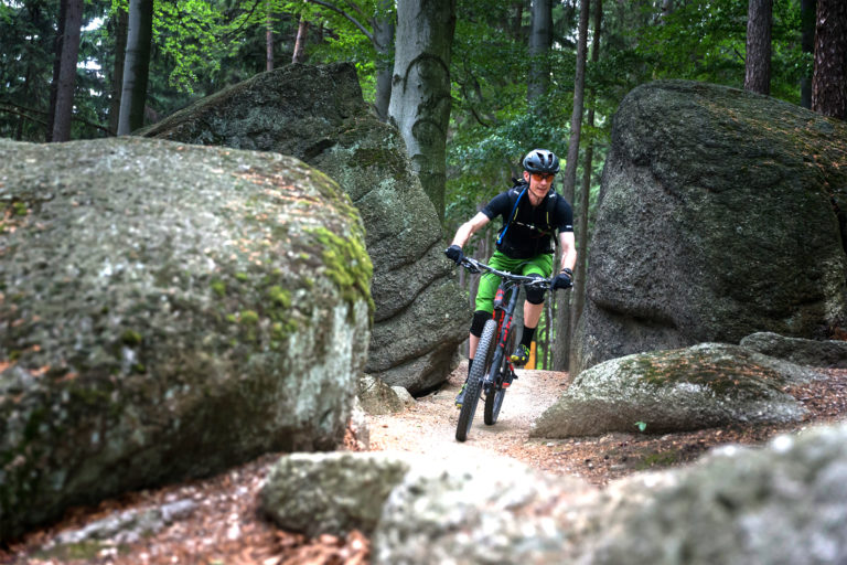 Cycliste dans forêt