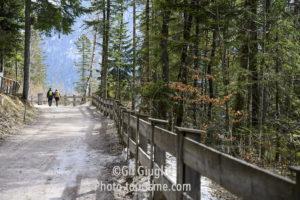 2 randonneur de dos sur chemin en forêt