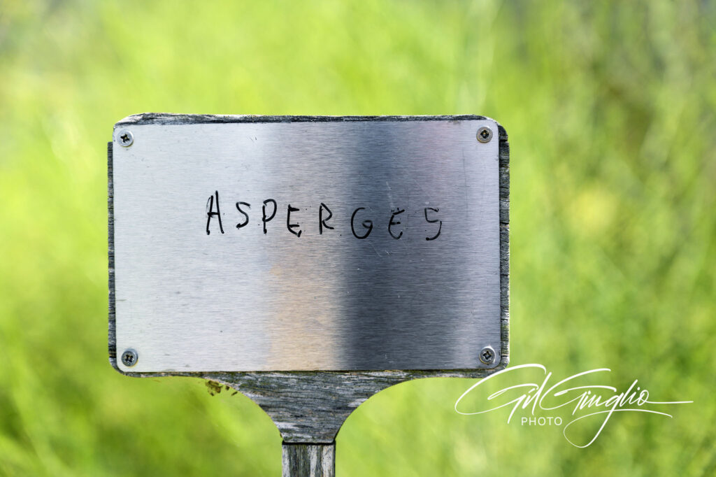 Panneau " Asperges " sur fond vert de potager