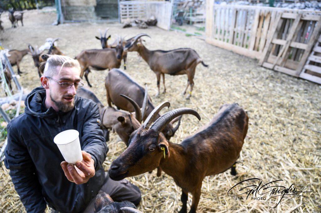 Homme et verre de lait avec chèvre