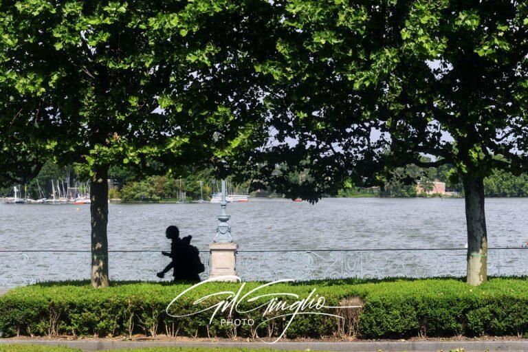 silhouette sous arbres devant lac