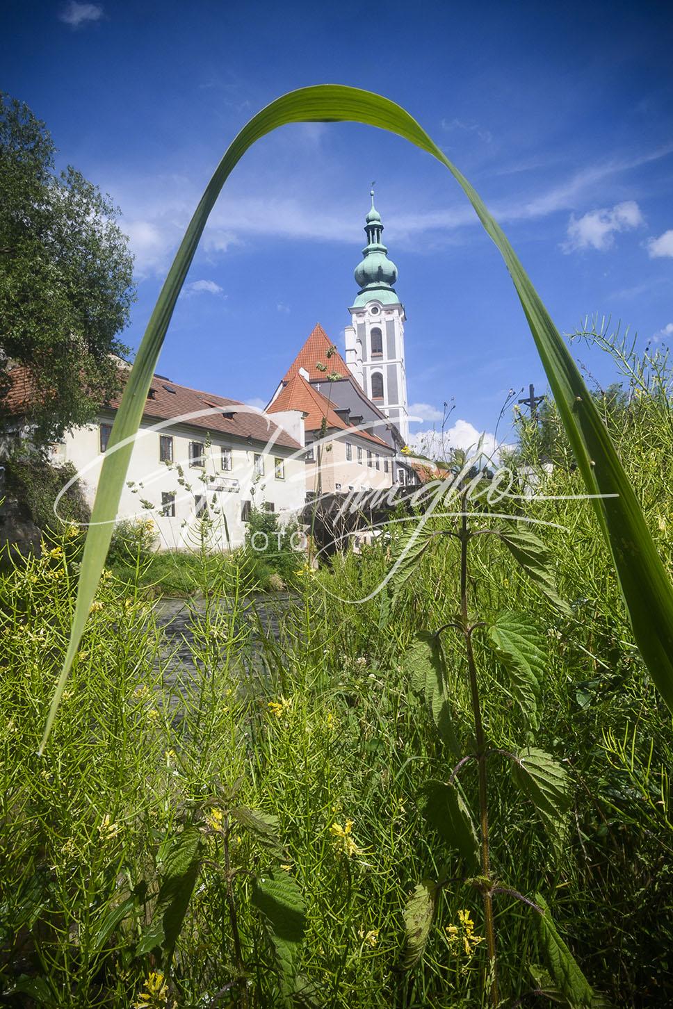 Clocher d'église et herbe haute au premier plan