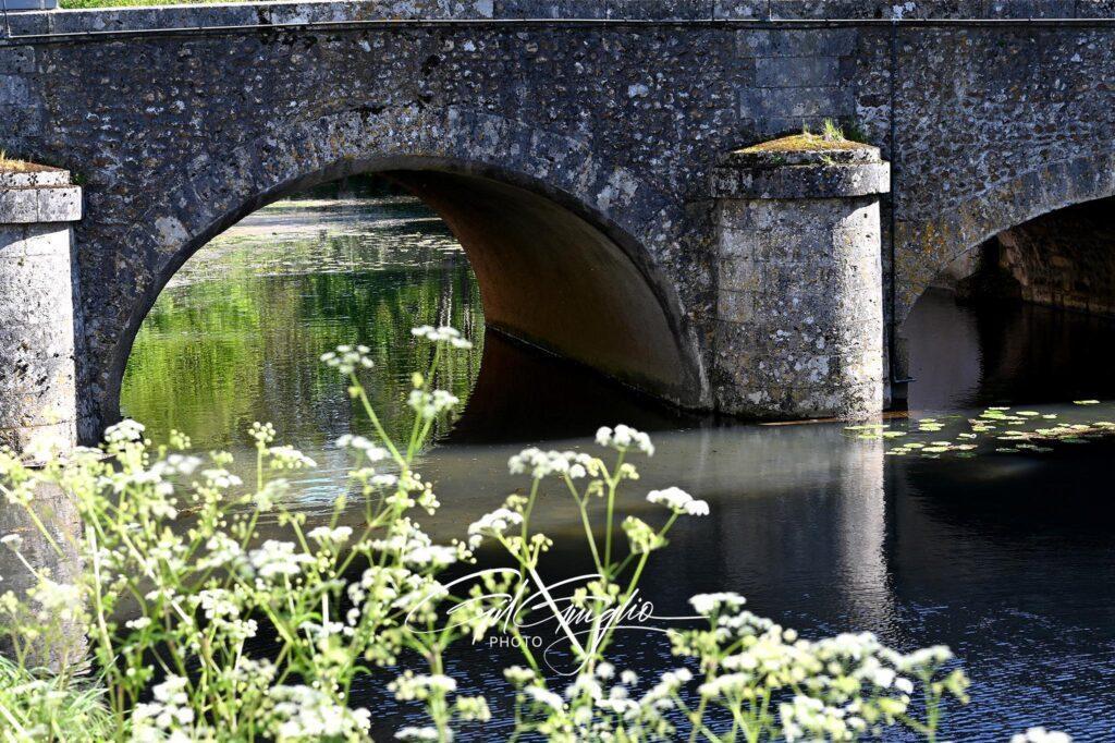 Végétation, rivière et pont de pierre