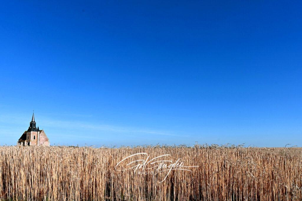 église sur ciel bleu et champ de blé